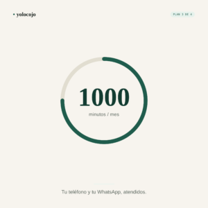YoLoCoJo 1.000 min